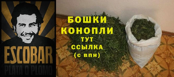 амф Россошь