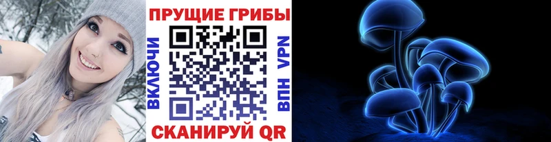 где купить наркотик  Тамбов  Псилоцибиновые грибы Psilocybine cubensis 